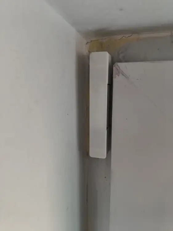 1000011900.jpg